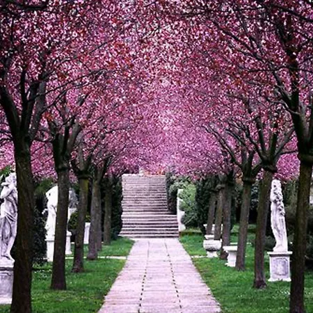 Hotel Des Bains Terme Montegrotto Terme